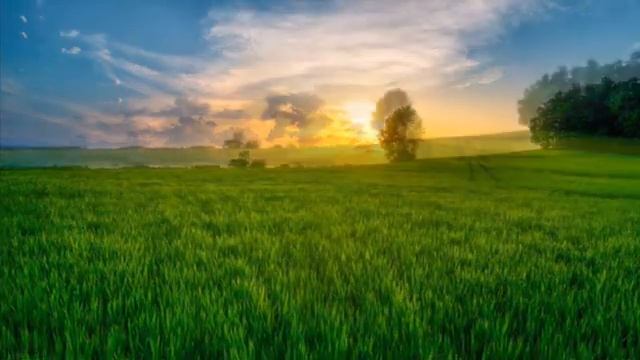 4 день Медитация на изобилие оригинальная версия на английском языке смотреть онлайн