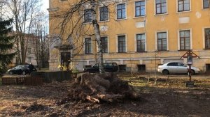 Могила А. А . Суворова [1804—1882], губернатора СПБ и его супруги