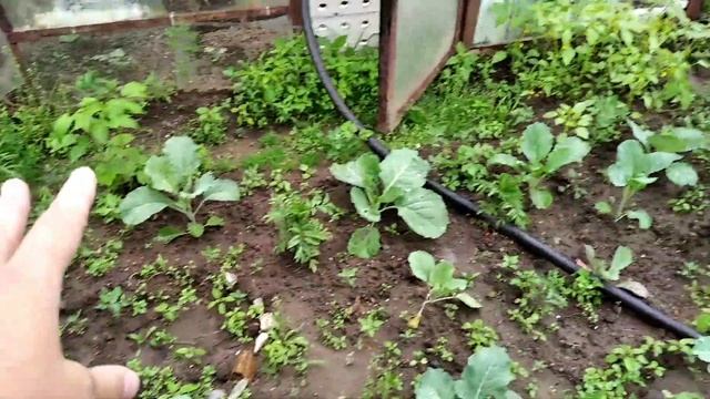 Обзор дачи 13 июля смотреть онлайн