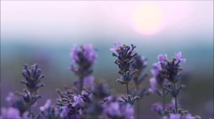 Мантра Ом - мощная медитация от Вселенной на частоте 432 гц