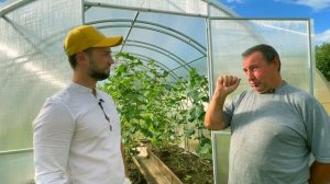 Отзыв на теплицу Оптима, и сравнение с Кремлёвской