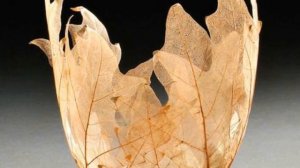 Аппликации из осенних листьев. Поделки с листьев