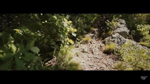 Сопка Змеиная, город Хабаровск.