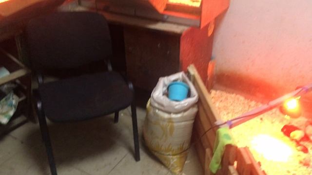 15-05-2023 смотреть онлайн