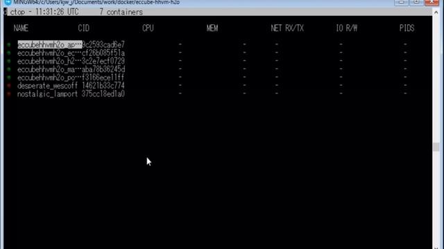 Windowsのdockerでctopを動かした смотреть онлайн