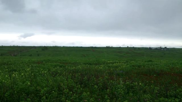 MOV 0421 смотреть онлайн