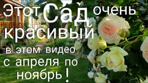 Лучшие ЦВЕТУЩИЕ многолетники . ЦВЕТЕНИЕ  нашего САДА с апреля по ноябрь в ЭТОМ ВИДЕО ! 2020