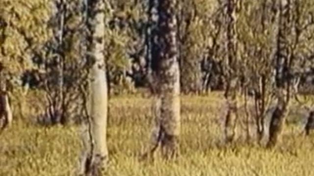 Пермь Великая (1998) смотреть онлайн