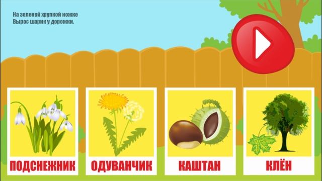 Загадки про растения для детей! смотреть онлайн