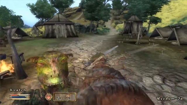 The Elder Scrolls IV: Part 6 - We're NOT heroes... смотреть онлайн