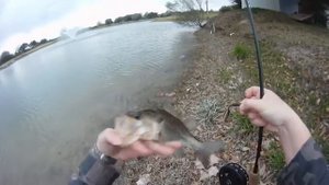 Катушка Нельма. Ловим басса в ветреную погоду.