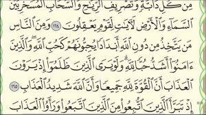 Урок № 8  Красивое чтение суры  аль Бакара , аяты 154 176  #коран  #нарзулло #АрабиЯ