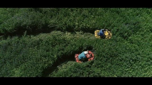 Квадроцикл IRBIS ATV200 2021 ! смотреть онлайн