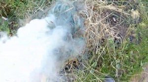 Рыбалка в Балашихе ! Хищник на Пехорке !