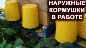 Наружные кормушки в работе. Закорм пчёл в зиму.