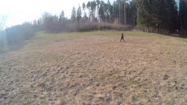 Полетушки по Fpv