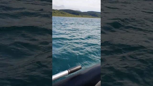 Охотское море. Плывем на маяк Анива смотреть онлайн