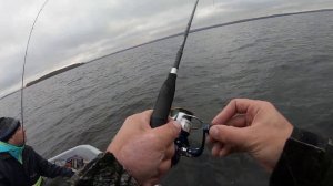 Карелия, Онега, ловля Хариуса на ультралайт, осень 2020