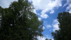 Заповедные места.Бужаниново