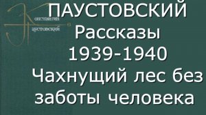 Константин Паустовский - Рассказы 1939-40 - Критика