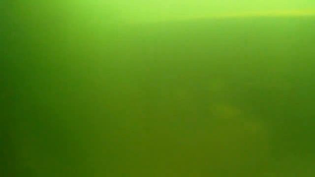 Сибирь. Дайвинг Братск смотреть онлайн