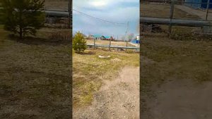 Коченёво (Новосибирская область)