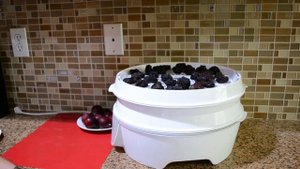 Чернослив. Как сушить сливы?