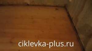 Циклевка крашеного пола ciklevka-plus.ru
