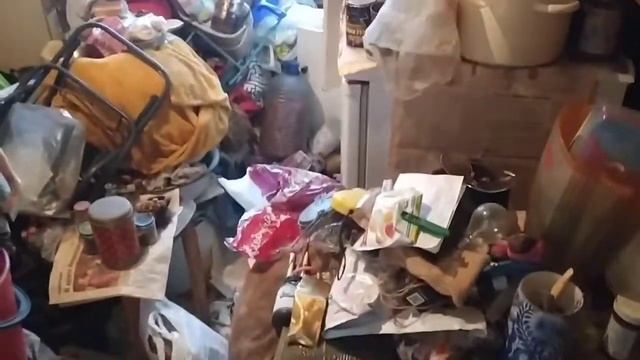Разбор мусора захламленной квартиры Плюшкина в СПб смотреть онлайн