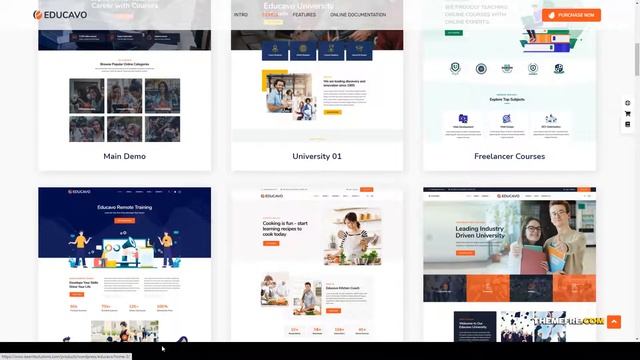Educavo - Online Courses and Education WordPress Theme tutor school Mayu смотреть онлайн