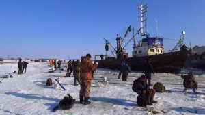 Сахалин Поронайск Рыбаки ловят навагу на реке Поронай 4 февраля 2020 года