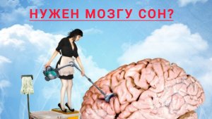 Мозг и сон.Нужег ли нам сон???