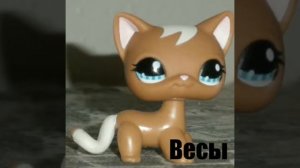 LPS: Кто ты из стоячек по знаку зодиака???