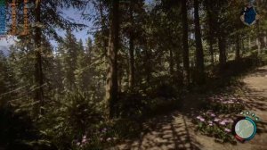 Sons of the Forest на старой видеокарте GTX 750 ti / тестирование видеокарты / Стоит ли играть?