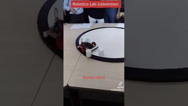 cempion sumo robot uzbekistane Чемпион сумо робот в Узбекистане