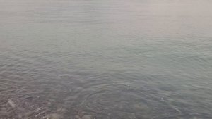 Ловля форели в Новороссийске на воблеры в море.