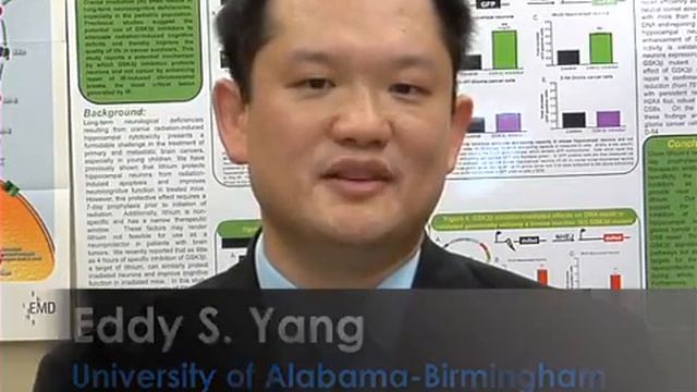 Comet Assay for Assaying DNA damage in Neurons | Protocol Preview смотреть онлайн