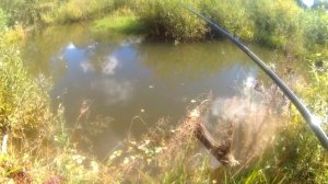 Путешествие по обве