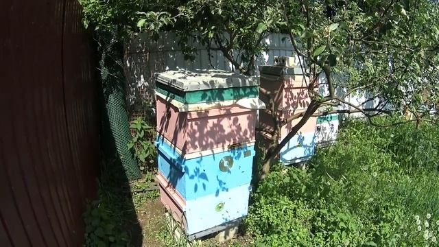 Работа перепускного клапана в перегородке Снелгроу смотреть онлайн