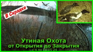 Утиная Охота. от Открытия до Закрытия с 4 до 13 05 24