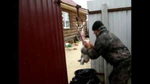 Разделка тушки кролика.