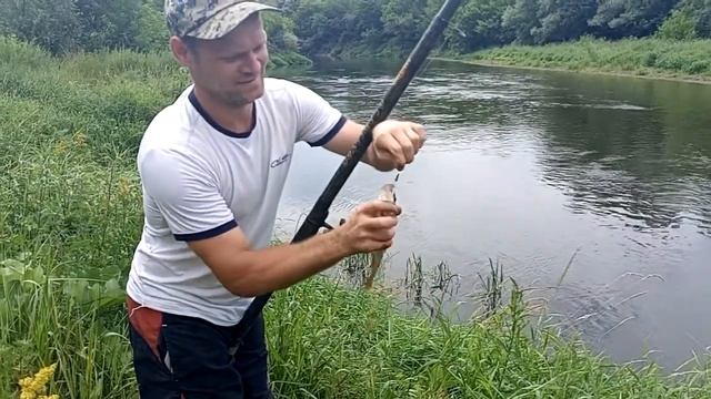 Рыбалочка на реке  Медведица/плотва/окунь/пескарь/густера! Ловим на поплавок. Клёв  огонь.