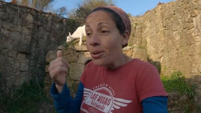 Hard choices are part of Farm Life and Inoculating Biochar for a Successful Spring Garden 2023 смотреть онлайн