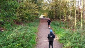 Прогулка в лесу в Нидерландах!