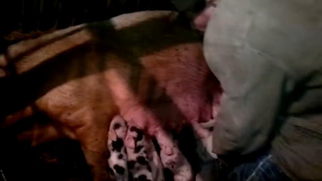 В Хазаре смотреть онлайн