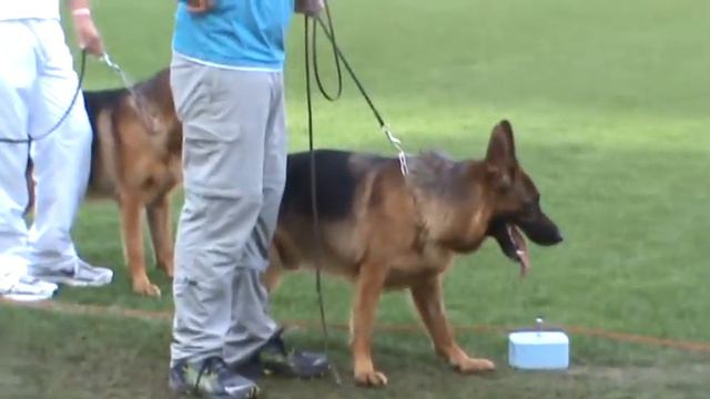 pasauline paroda 2011 Nurnberg ,Marko Langenbungert ir Conbhairean Uno! смотреть онлайн