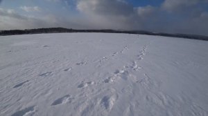 "Дует ветер в феврале и метёт позёмка... "Ловля щуки в феврале на жерлицы.Аргази .