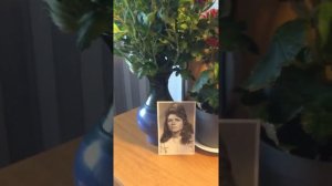 Сорвали розу . Поет  Н . Кадышева 🌹