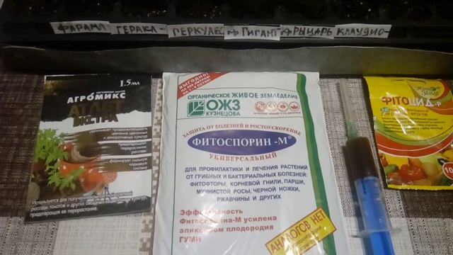 Сравниваем рассаду перца оригинал и свои собранные семена с гибридов  ! Защита + питание !!!