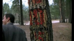 к ⁄ф  “Бригада “   'Сause you are young